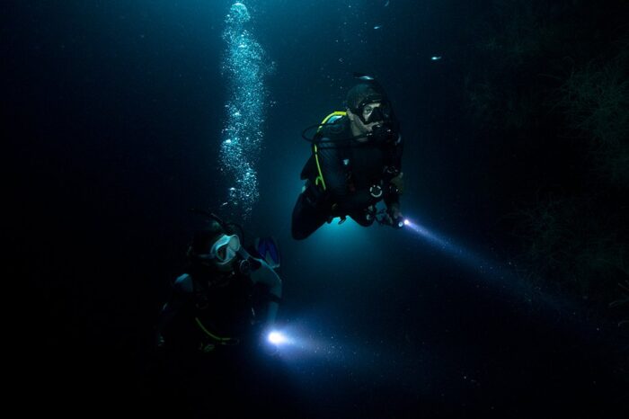 Night dive